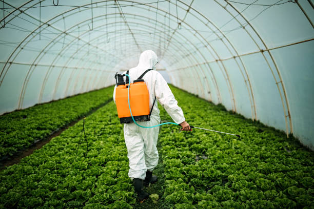 Best Pest Control for Homes  in Lone Tree, CO