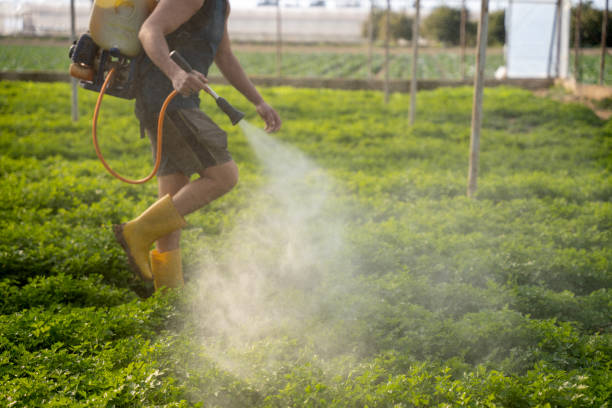 Best Emergency Pest Control  in Lone Tree, CO