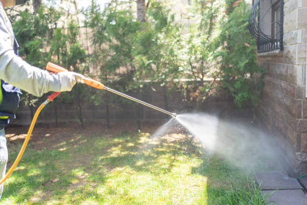 Pest Control Cost in Lone Tree, CO