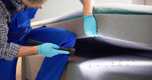 Best Best Pest Control Companies  in Lone Tree, CO