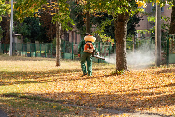Best Wildlife Control Services  in Lone Tree, CO