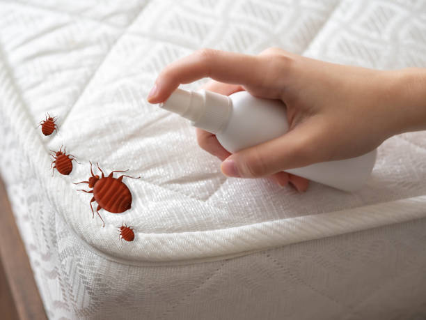 Best Best Pest Control Companies  in Lone Tree, CO