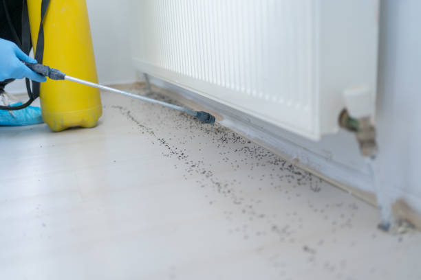 Best Commercial Pest Control Services  in Lone Tree, CO
