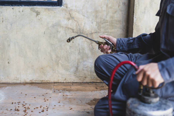 Best Affordable Pest Control Services  in Lone Tree, CO